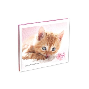 ROOST Freundebuch DE 18x21cm 414526 Chat, 56 pages