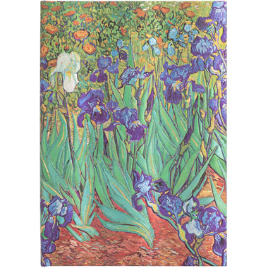 PAPERBLANKS Notizbuch Van Goghs Midi PB8204-0 liniert, 144 S., bunt