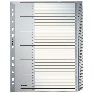 LEITZ Register PP A4 12810000 1-31 grau