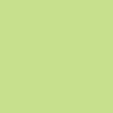 PAPYRUS Rainbow Papier FSC A4 88042608 leuchtend grün, 80g 500 Blatt
