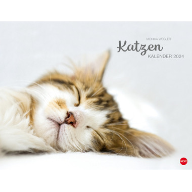 HEYE Wegler Katzenkalender 23165 DE, 44x34cm 2024
