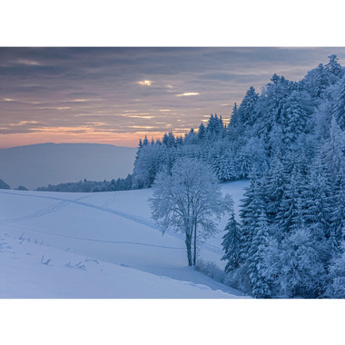 CALENDARIA Suisse Romande 2024 43494599 D/F/I/E, 31.5x23cm