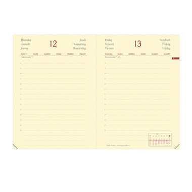 QUO-VADIS Agenda Silk DailyPocketML 2024 617019Q 1T/1S, grün 8.5x13cm