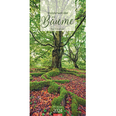WEINGARTEN Wandkalender Kraft der Bäume 2958600 DE, 33x68cm 2024