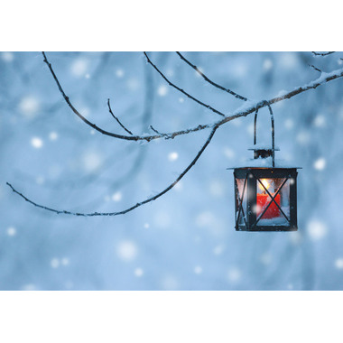 NATUR VERLAG Weihnachtskarten 10232N Doppelkarte, B6 6 Stück