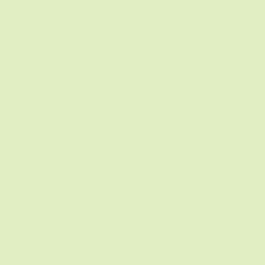 PAPYRUS Rainbow Papier FSC A4 88042586 hellgrün, 80g 500 Blatt