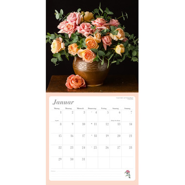 DUMONT Rosen 205168 DE, 30x30cm 2024
