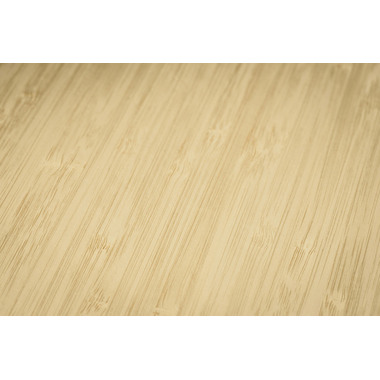 CONCEPTUM Notizbuch bamboo A5 CO671 punktkariert, 194 S., bunt
