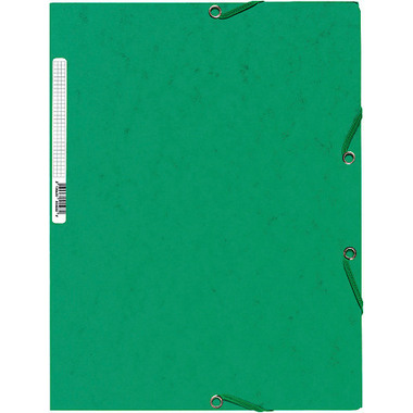 EXACOMPTA Gummibandmappe A4 55503E grün