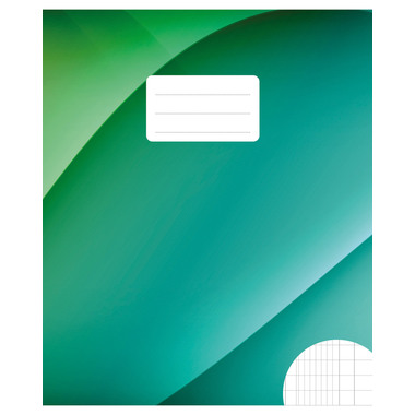 BÜROLINE Cahier E5 533875010 2 colonne 90g