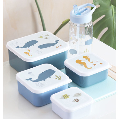 ALLC Lunch & Snackbox Ocean SBSEOC39