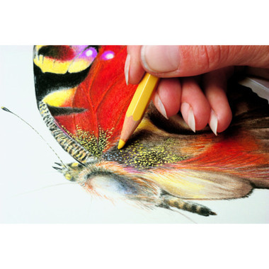 CARAN D'ACHE Crayon de couleur Prismalo 3mm 999.245 olive clair