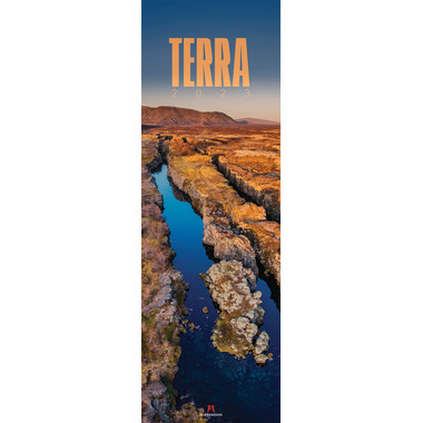 ACKERMANN Terra 2424 33x100cm, 2024