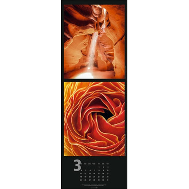 WEINGARTEN Wandkalender Nature Nature 3311880 DE, 34x98cm 2024