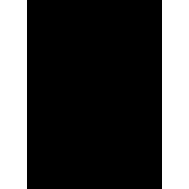 URSUS Fotokarton-Block A4 3704690SE 300g, schwarz 10 Blatt