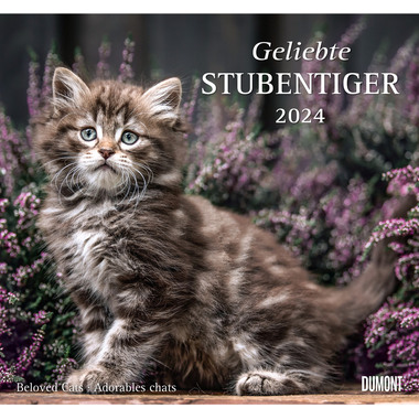 DUMONT Bildkalender Stubentiger 205091 D/EN/F, 38x35.5cm 2024