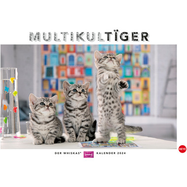 HEYE Bildkalender Katzen 1130 DE, 45x30cm 2024