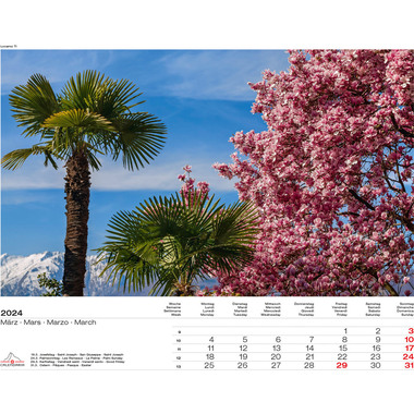CALENDARIA Schweiz-Suiss-Svizzera-Swiss 43494590 D/F/I/E, 40x31cm 2024