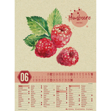 ACKERMANN Saisonkalender 1139 D, 33x45cm, 2024
