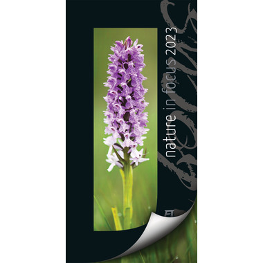 ACKERMANN Nature in Focus 2417 D, 33x66cm 2024
