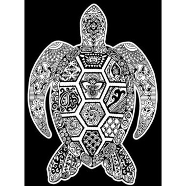 TATARUGA Samtbild A4 S23 Schildkröte