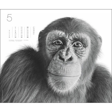 WEINGARTEN Kalender Black & White 2024 3312243 55x46cm, DE