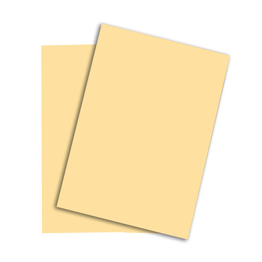 PAPYRUS Rainbow Papier FSC A4 88042250 hellchamois, 80g 500 Blatt
