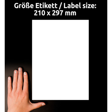 AVERY ZWECKFORM Etichette laser 210x297 L4775REV8 white, weather pr. Remov. 8 f.