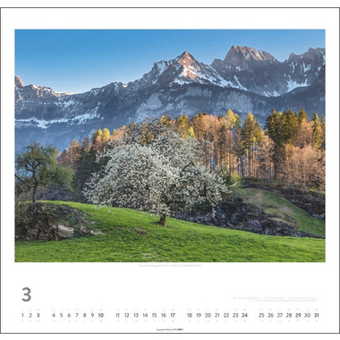 WEINGARTEN Die Schweiz 3312224 DE, 48x46cm 2024