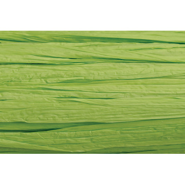 KNORR PRANDELL Edelbast 30m 8533042 lindengrün matt