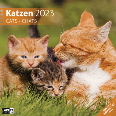 ACKERMANN Katzen 4420 D/E/F/I, 30x30cm, 2024