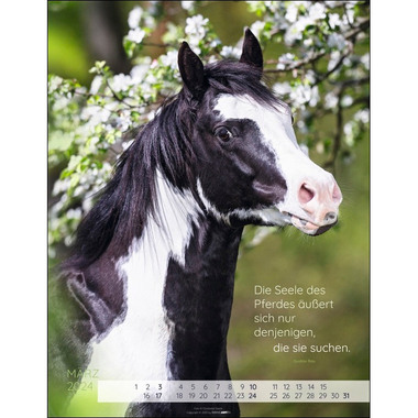 WEINGARTEN Kalender Pferdepoesie 2024 3312227 34x44cm, DE