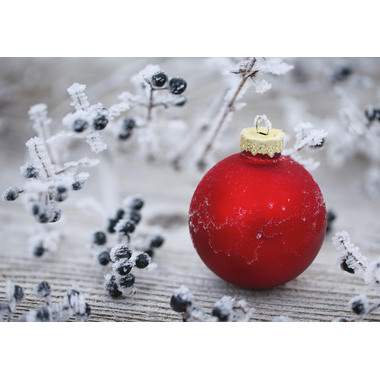 NATUR VERLAG Weihnachtskarten 10232N Doppelkarte, B6 6 Stück