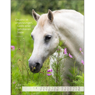 WEINGARTEN Kalender Pferdepoesie 2024 3312227 34x44cm, DE