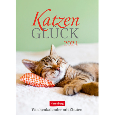 HARENBERG Wochenkalender Katzen 3310008 DE, 16,5 X 23cm 2024