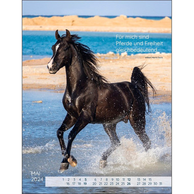 WEINGARTEN Kalender Pferdepoesie 2024 3312227 34x44cm, DE