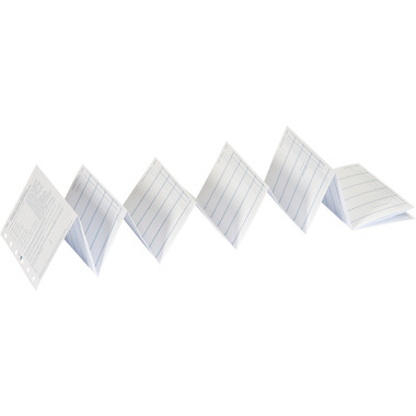 SUCCES Junior Jahresplaner 2025 842159000025U gefalzt, 6M/S, 80x125mm