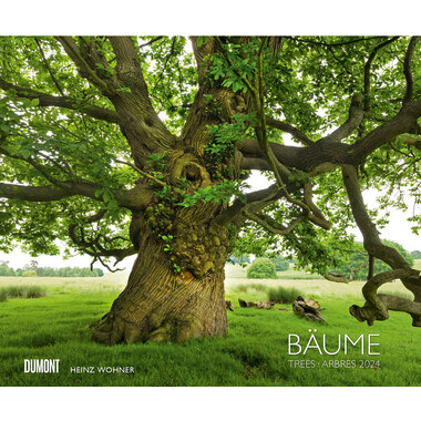 DUMONT Bäume 205140 D/EN/F, 58.4x48.5cm 2024