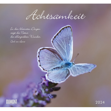 DUMONT Achtsamkeit 205154 DE, 38x35.5cm 2024