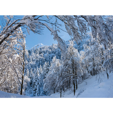 CALENDARIA Tessin 2024 43494628 D/F/I/E, 40x31cm