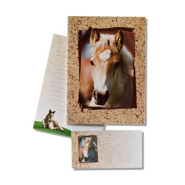 ROOST Papier à lettres Pony 180344 brun, 10 feuilles