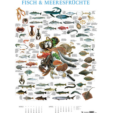 DUMONT Food 205109 DE, 50x70cm 2024