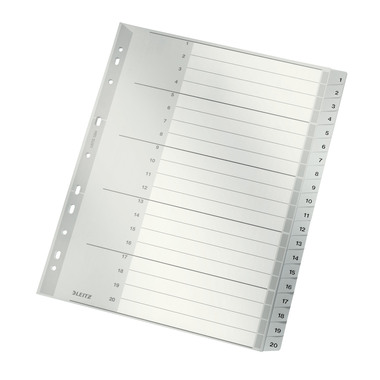 LEITZ Register PP A4 12840000 1-20 grau