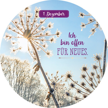 ARS EDITION Adventskalender Dose 135416 24 Dankbarkeitsmantras