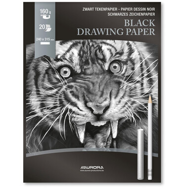 AURORA Zeichenblock 24X31,5cm BL33 schwarz, 160g 20 Blatt