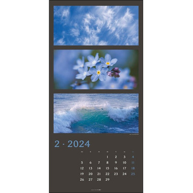 WEINGARTEN Wandkalender Farben der Natur 3226100 DE, 33x68cm 2024