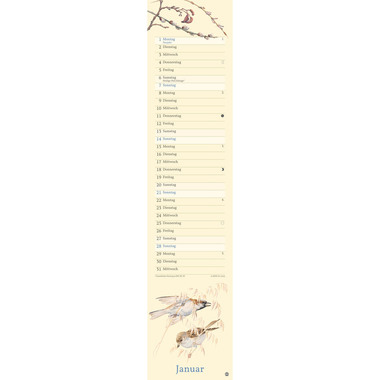 HEYE Jahreskalender Edith Holden 1405 DE, 11x49cm 2024