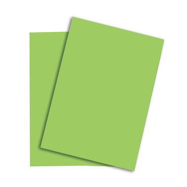 PAPYRUS Rainbow Papier FSC A4 88043112 120g, grün 250 Blatt