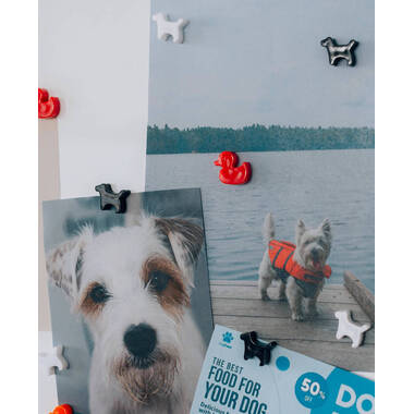I AM CREATIVE Magnet Ente Let`s Organize MAA4035.48 rot 6 Stück