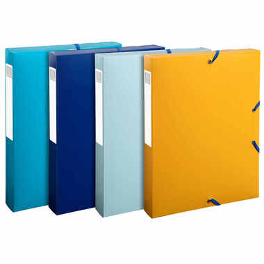 EXACOMPTA Scatola d'archivio A4 59140E ordinata PP